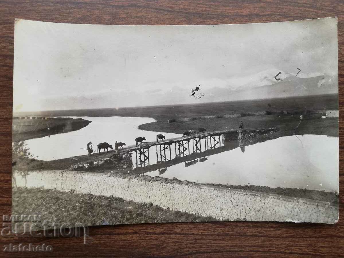 Old picture of Macedonia with price 15.00 BGN | € 7.67 Old picture of Macedonia with price 15.00 BGN | € 7.67