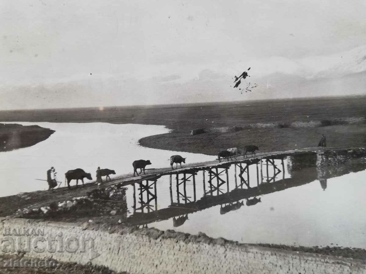 Auction Old picture of Macedonia Auction Old picture of Macedonia