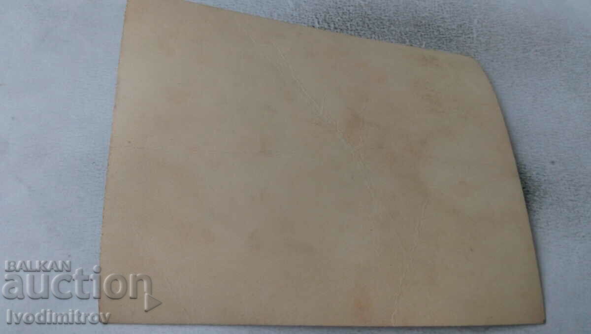 Photo Youth at the start of the run with price 1.65 BGN | € 0.84 Photo Youth at the start of the run with price 1.65 BGN | € 0.84