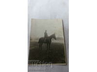 Foto Fată tânără pe un cal 1930