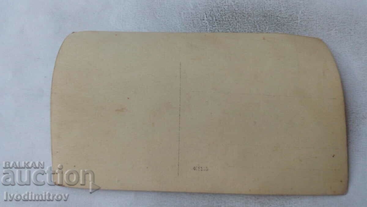 Φωτογραφία Άνδρες γυναίκες και παιδιά με έναν σκύλο σε ένα πικνίκ με τιμή 2.65 BGN | € 1.35