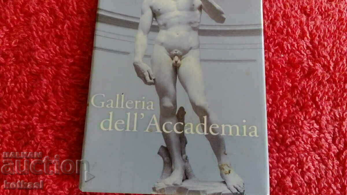 Licitație Suvenirul frigiderului frigider al lui David al lui Michelangelo