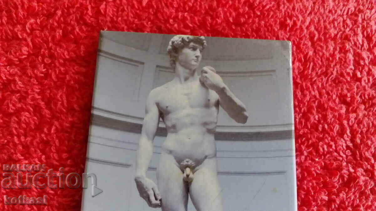 Delivery of Michelangelo's David's refrigerator fridge souvenir Delivery of Michelangelo's David's refrigerator fridge souvenir