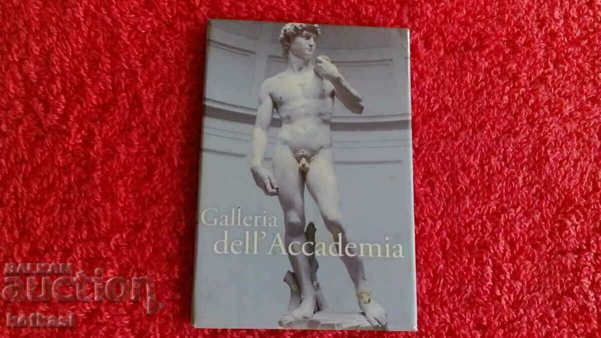 Michelangelo's David's refrigerator fridge souvenir - 5 Michelangelo's David's refrigerator fridge souvenir - 5