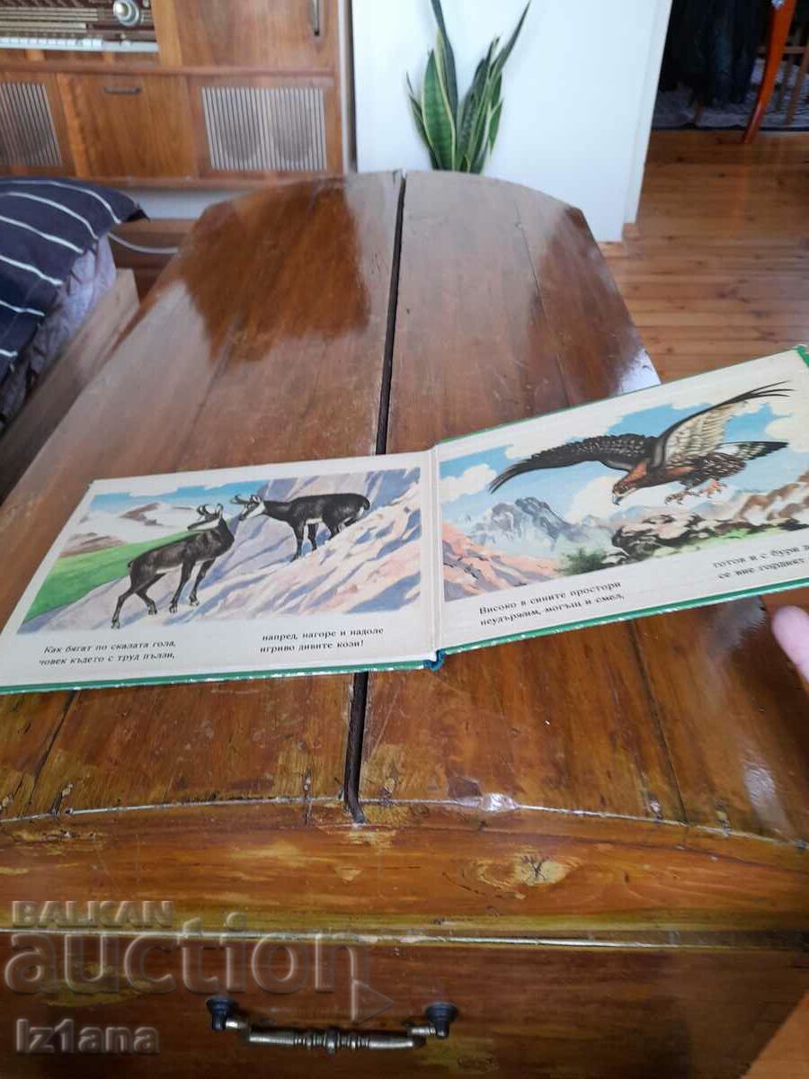 Auction Book Animals in the plains, forests and mountains Auction Book Animals in the plains, forests and mountains