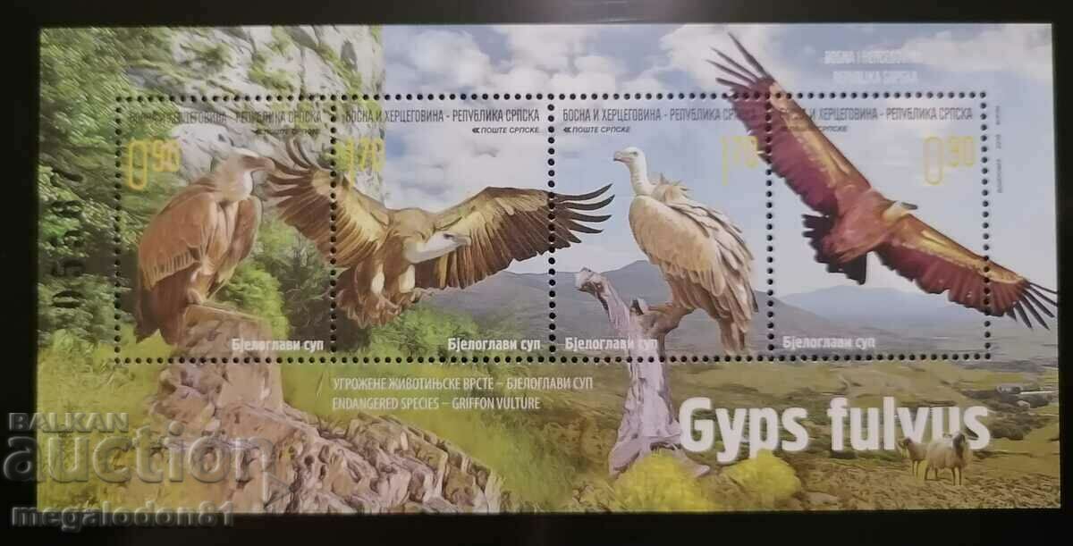 Republica Srpska (Bosnia și H.) - faună, vultur grifon