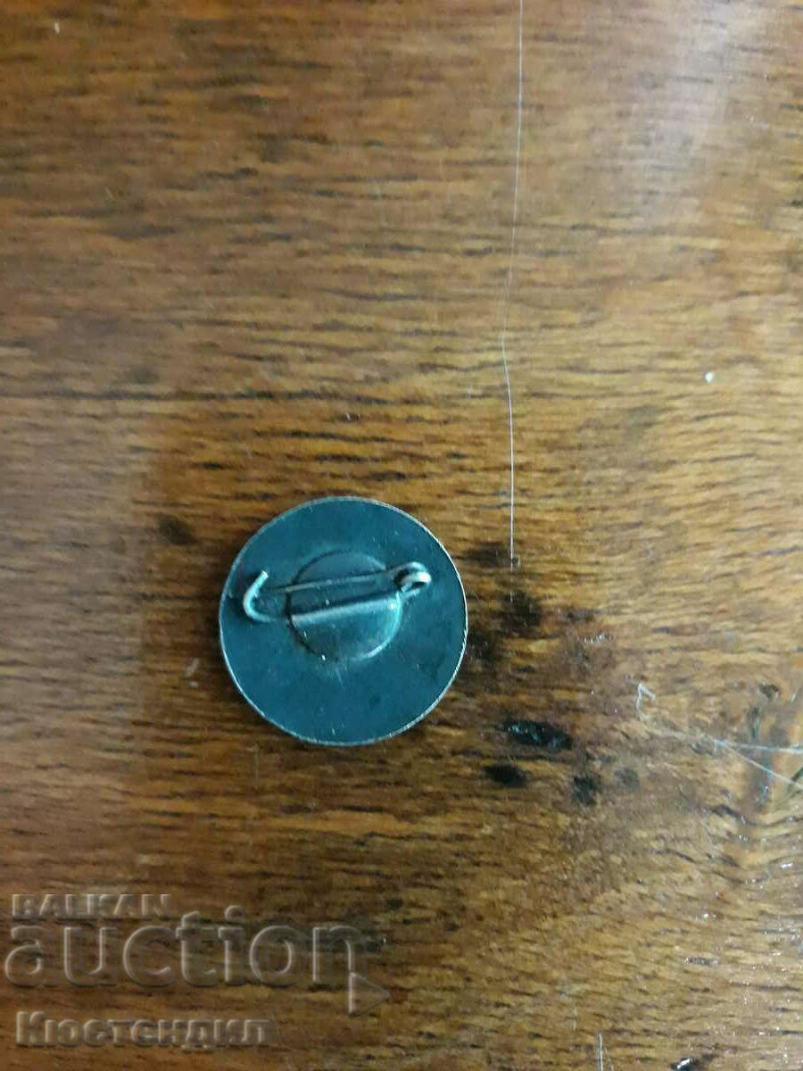 A BADGE CELEBRATES SLIVEN'S HIDUITY with price 2.00 BGN | € 1.02