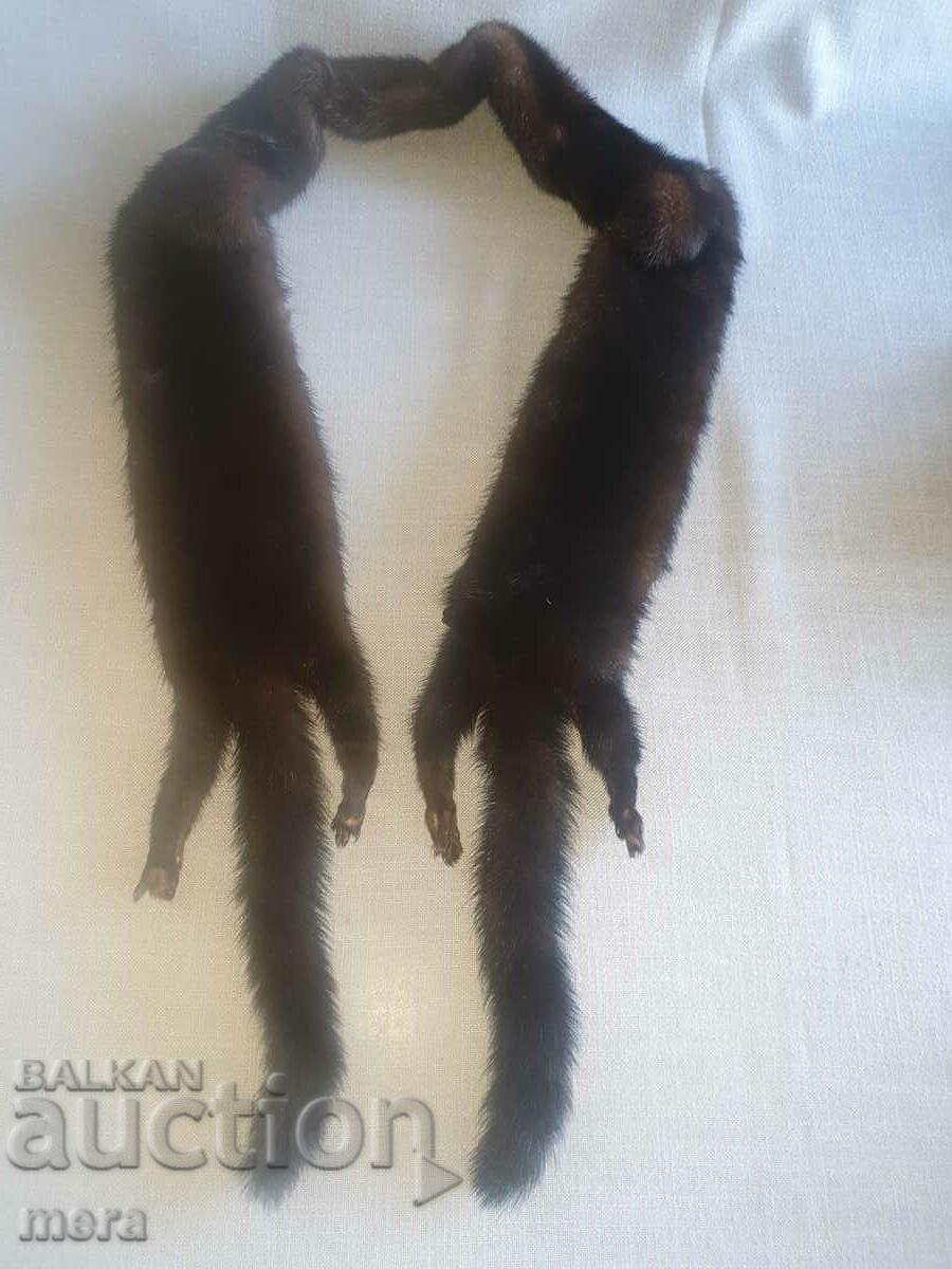 Guler de animale exotice cu preț 55.00 BGN | € 28.12 Guler de animale exotice cu preț 55.00 BGN | € 28.12