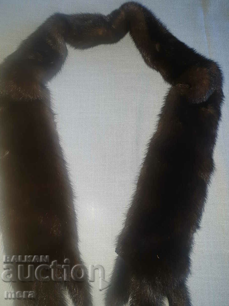 Livrarea Guler de animale exotice Livrarea Guler de animale exotice