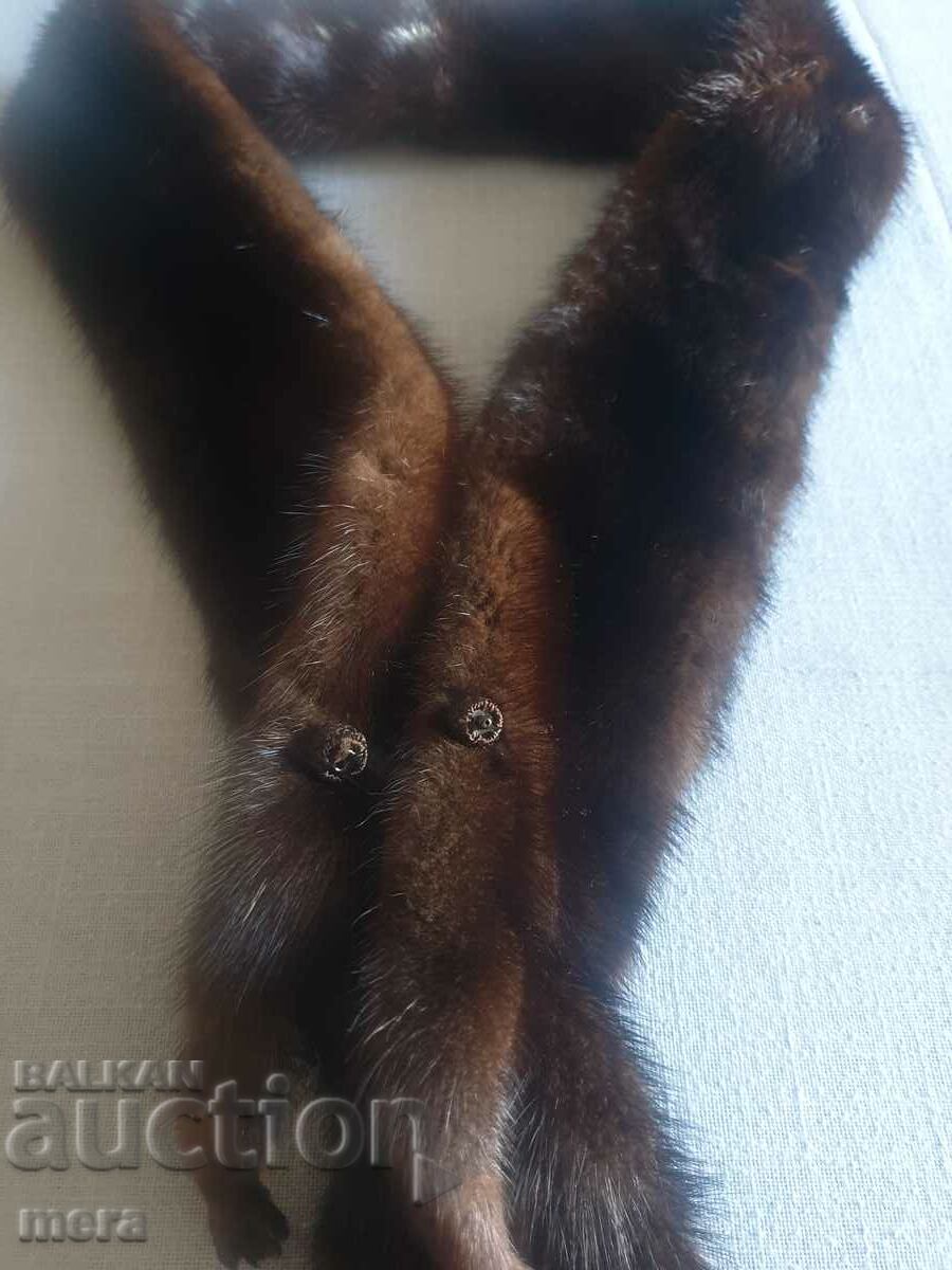 Guler de animale exotice - 6 Guler de animale exotice - 6