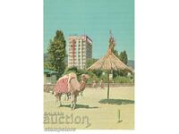 Postcard from Varna - Golden Sands - Hotel Astoria