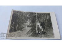 Photo Ladzhene Two young men and two girls in a pine forest
