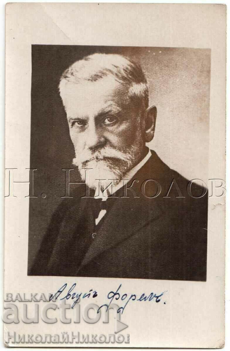 OLD PICTURE AUGUST FOREL SWISS SCIENTIST BACHAISM B501 OLD PICTURE AUGUST FOREL SWISS SCIENTIST BACHAISM B501