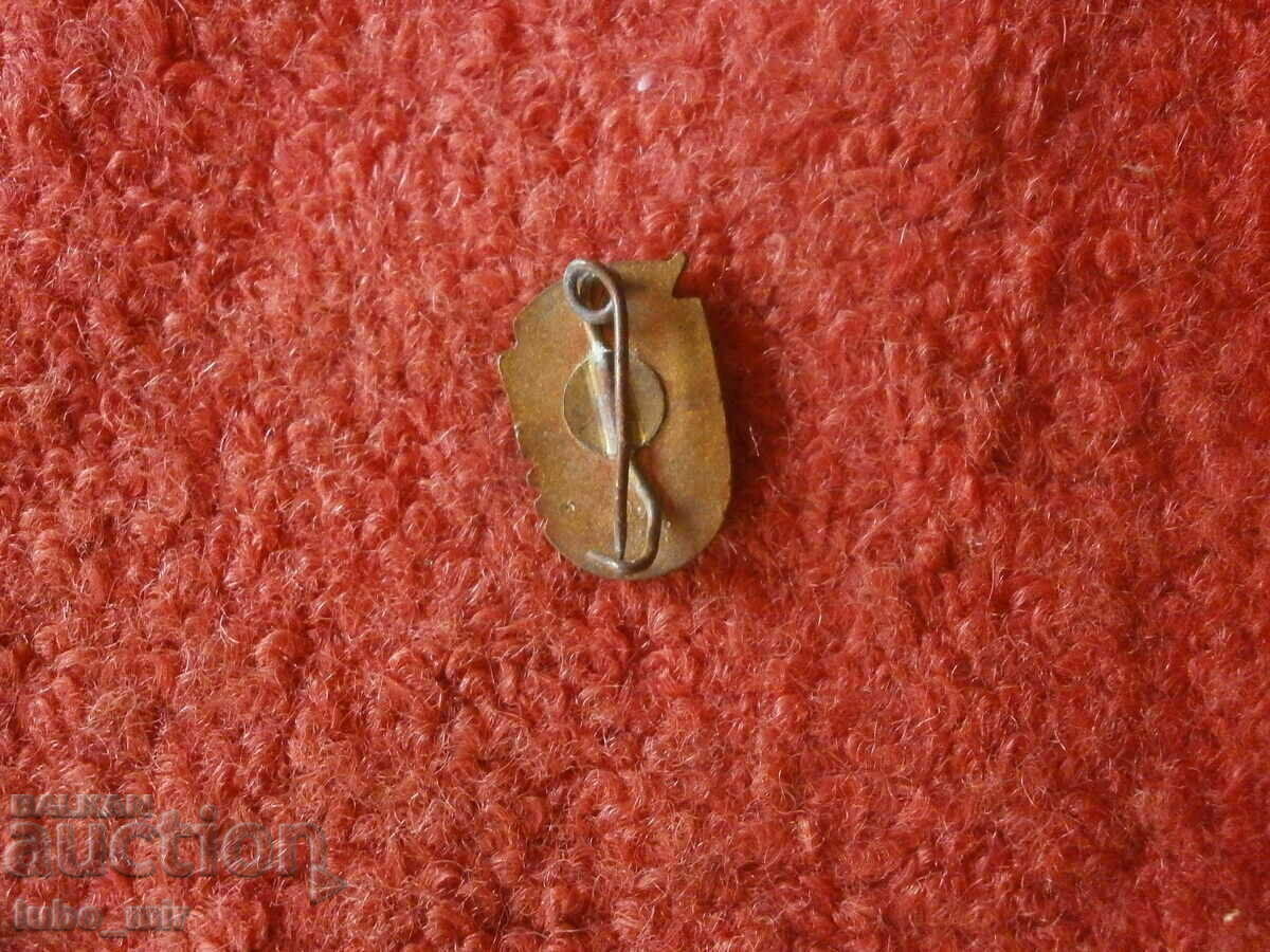 Delivery of OLD BADGE