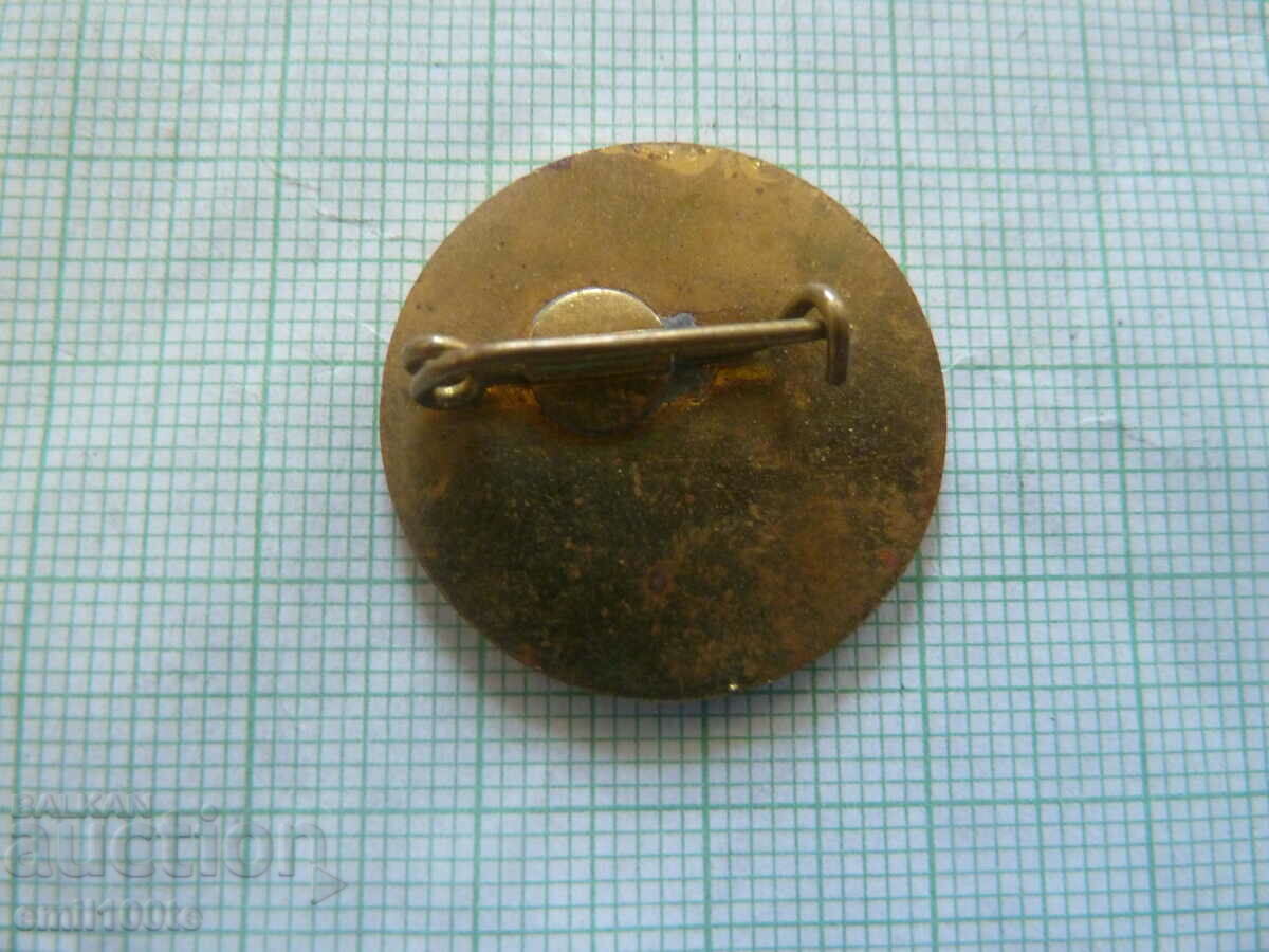 Delivery of Badge - Youth Communist Union of Hungary Delivery of Badge - Youth Communist Union of Hungary