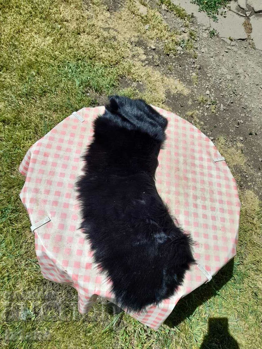 Old leather collar with price 15.00 BGN | € 7.67