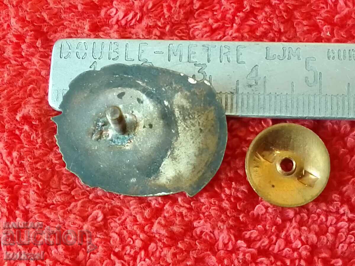 Old Soc Badge Badge Distinction for Chitalishte activity email with price 21.00 BGN | € 10.74 Old Soc Badge Badge Distinction for Chitalishte activity email with price 21.00 BGN | € 10.74