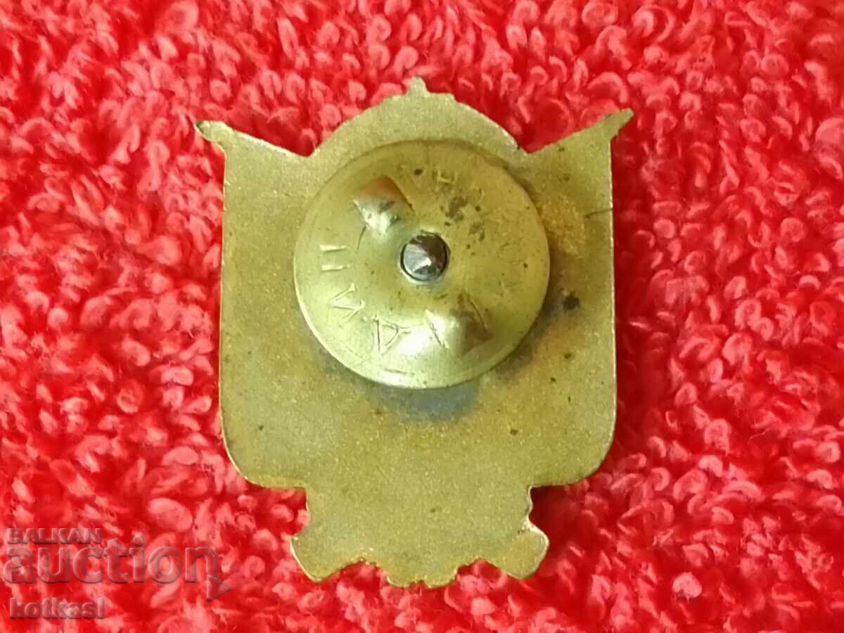Auction  Old Soc Badge Bronze Enamel Badge GORUBSO