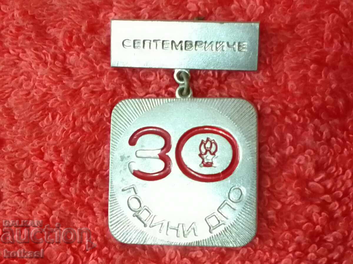 Auction  Old Soc Badge Badge carrier 30 years DPO SEPTEMBER