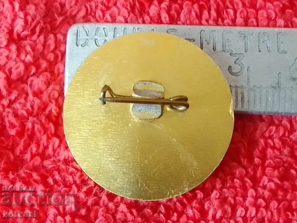 Old Socialist Badge Badge 125 School in the village of KOVACHITE 1982 with price 25.50 BGN | € 13.04