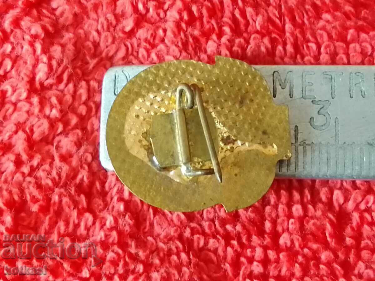 Old social sign badge bronze enamel Georgi Dimitrov quality with price € 3.80 | 7.43 BGN