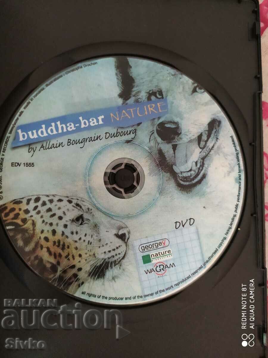 Аукцион DVD_buddha-bar - С, Моля, четете описанието!