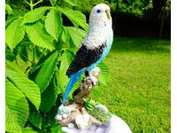 Parrot, German statuette 20 cm.