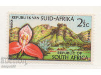 1962. Νότος. Αφρική. Βοτανικός Κήπος Kirstenbosch, Κέιπ Τάουν