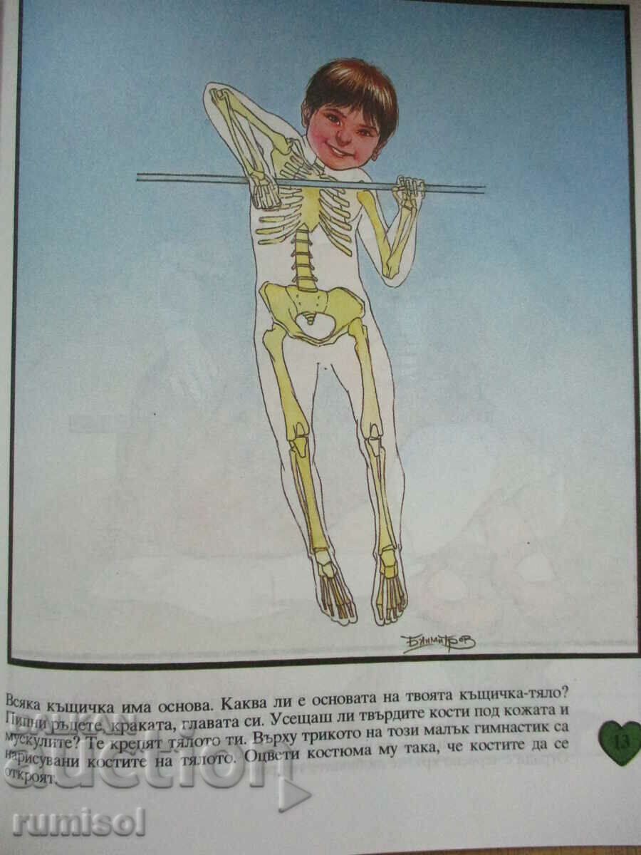 Delivery of Health house (4-6 years) -The child's activity in the nursery Delivery of Health house (4-6 years) -The child's activity in the nursery