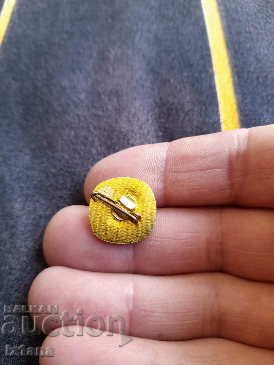 Auction  Old badge BRC, Water Savior