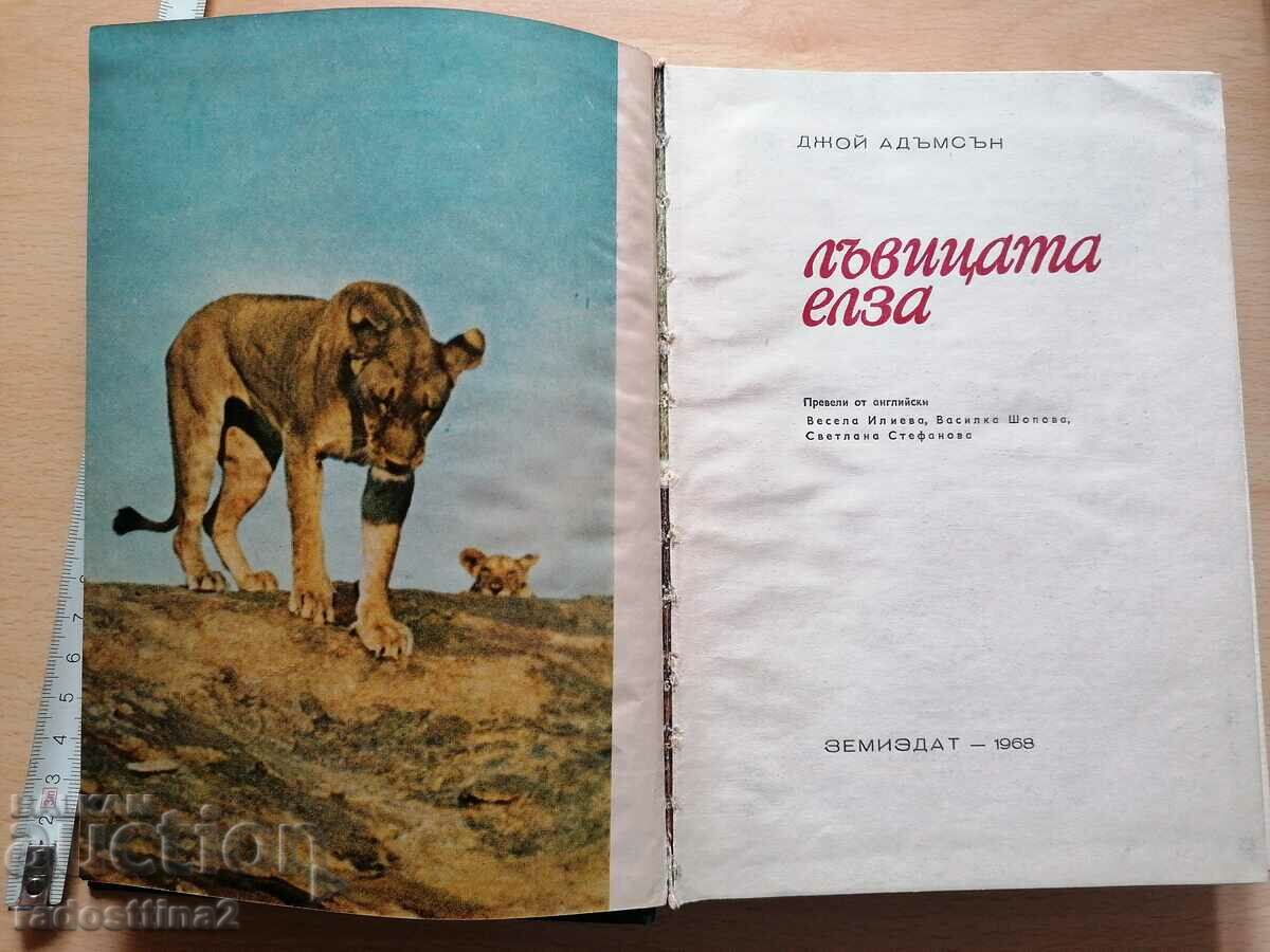 The lizard Elsa Joy Adamson with price 5.00 BGN | € 2.56 The lizard Elsa Joy Adamson with price 5.00 BGN | € 2.56