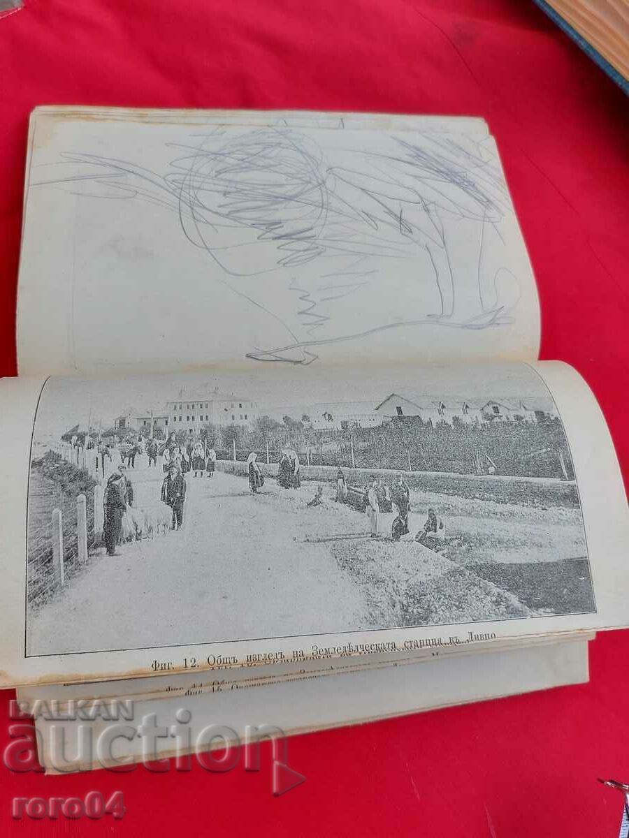 ΟΠΡΟΚΑΛΛΙΕΡΓΕΙΑ ΣΤΗ ΣΕΡΒΙΑ, ΒΟΣΝΙΑ ΚΑΙ ΕΡΖΕΓΟΒΙΝΗ - 5 ΟΠΡΟΚΑΛΛΙΕΡΓΕΙΑ ΣΤΗ ΣΕΡΒΙΑ, ΒΟΣΝΙΑ ΚΑΙ ΕΡΖΕΓΟΒΙΝΗ - 5