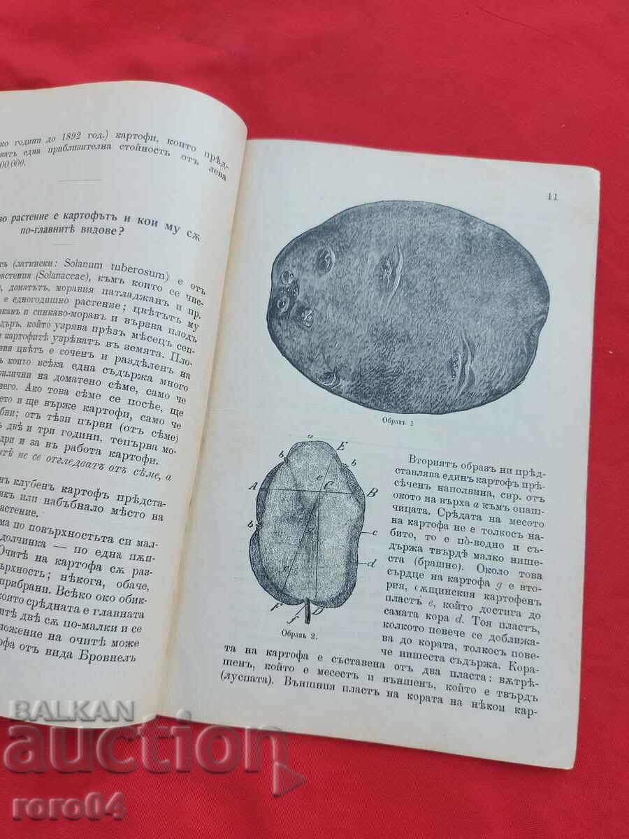 Παράδοση ΠΑΤΑΤΕΣ - ΠΡΑΚΤΙΚΟΣ ΟΔΗΓΟΣ Παράδοση ΠΑΤΑΤΕΣ - ΠΡΑΚΤΙΚΟΣ ΟΔΗΓΟΣ