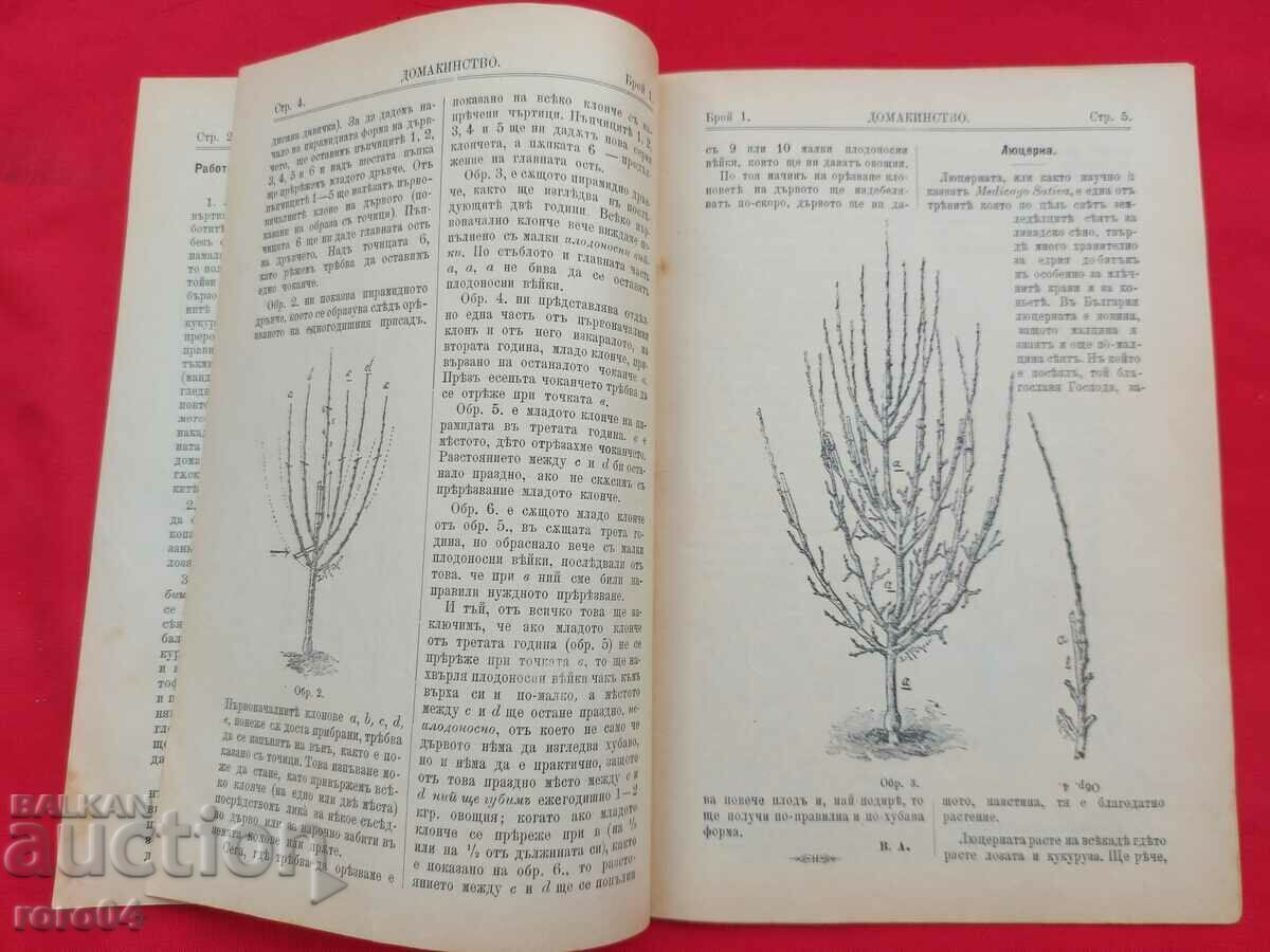 Livrarea CASĂ - Anul. Eu nu. 1 - 1902