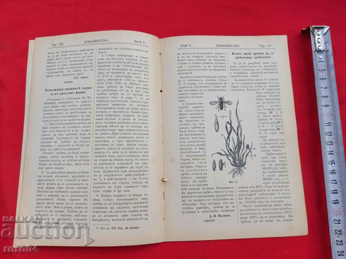 Auction HOUSEHOLD - Year. III No. 8 - 1904 Auction HOUSEHOLD - Year. III No. 8 - 1904