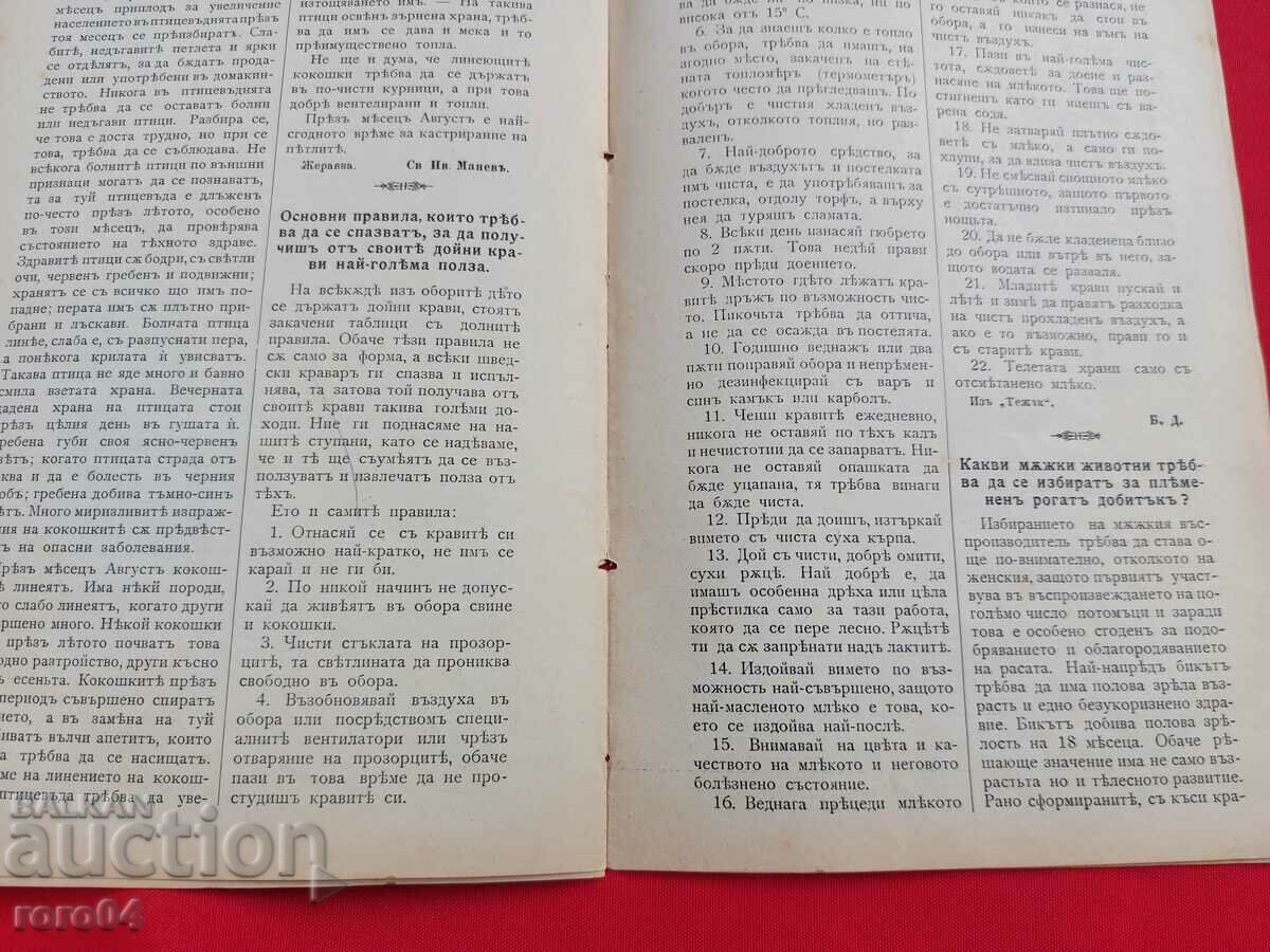 HOUSEHOLD - Year. III No. 9 - 1904 - 6