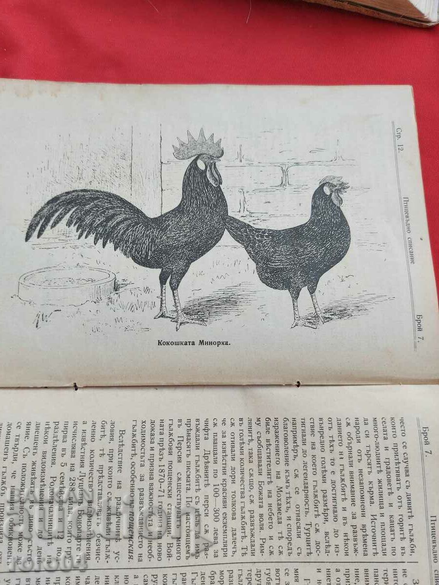 POULTRY MAGAZINE - Year. II No. 7 - 1907 - 5 POULTRY MAGAZINE - Year. II No. 7 - 1907 - 5