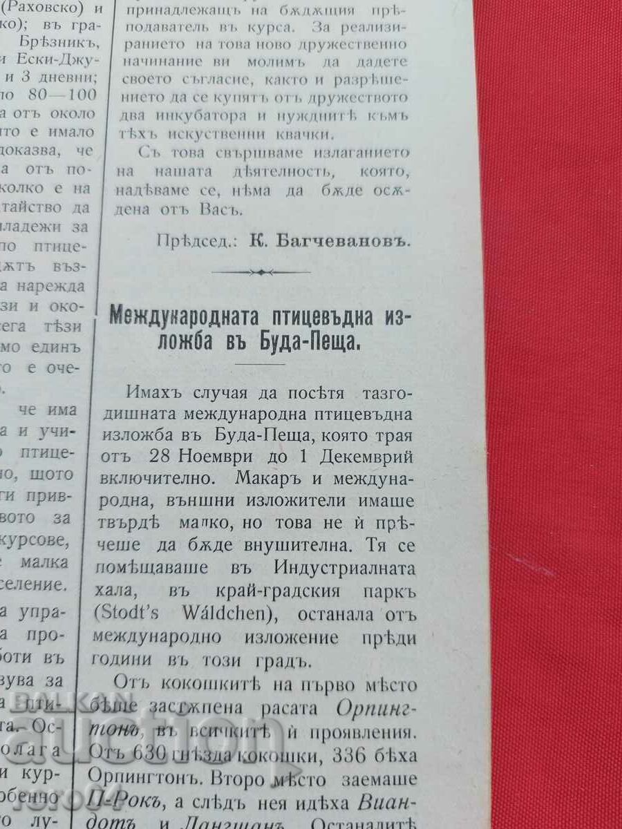 Livrarea REVISTA PĂSĂRI - Anul. II nr. 11 și 12 - 1907