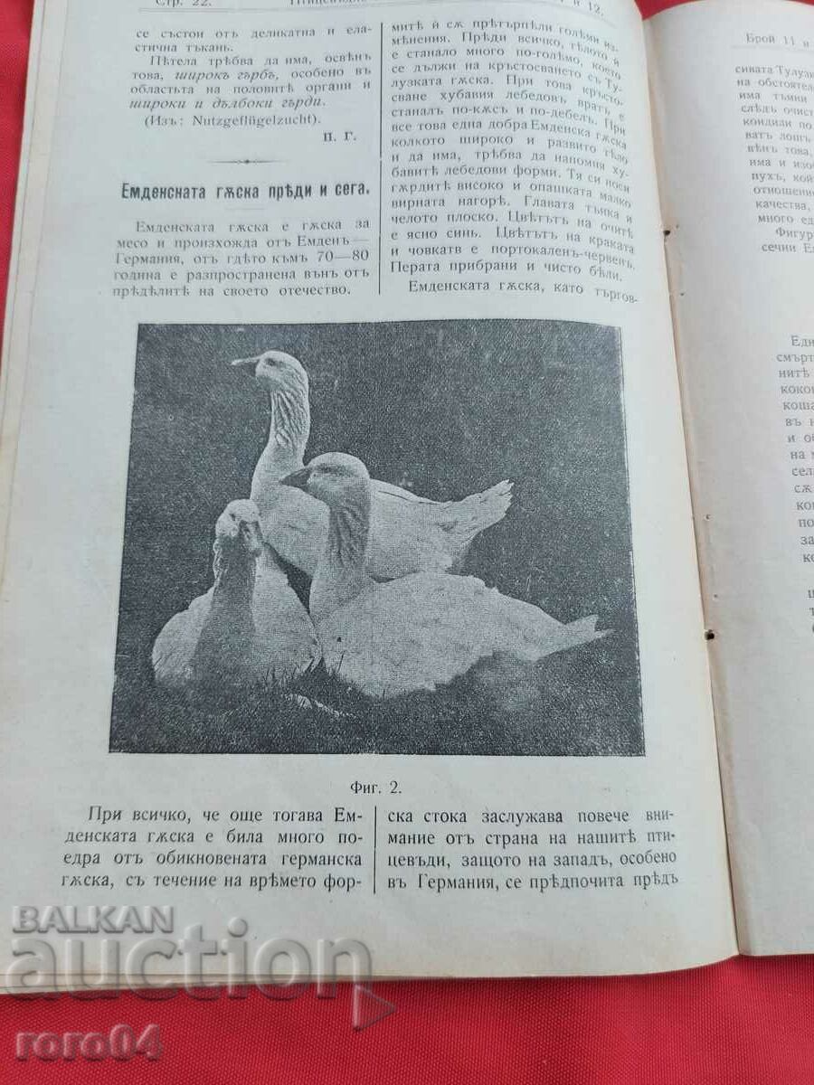 REVISTA PĂSĂRI - Anul. II nr. 11 și 12 - 1907 - 5