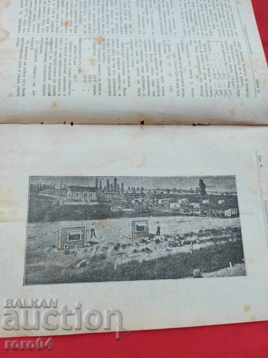 Auction  POULTRY MAGAZINE - Year. III No. 6 - 1908