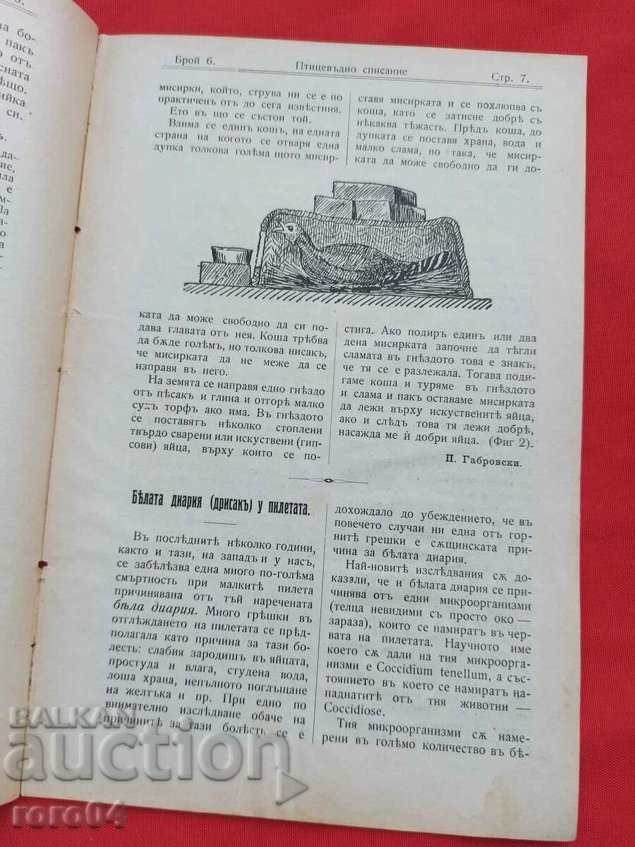 REVISTA PĂSĂRI - Anul. III Nr. 6 - 1908 - 5 REVISTA PĂSĂRI - Anul. III Nr. 6 - 1908 - 5