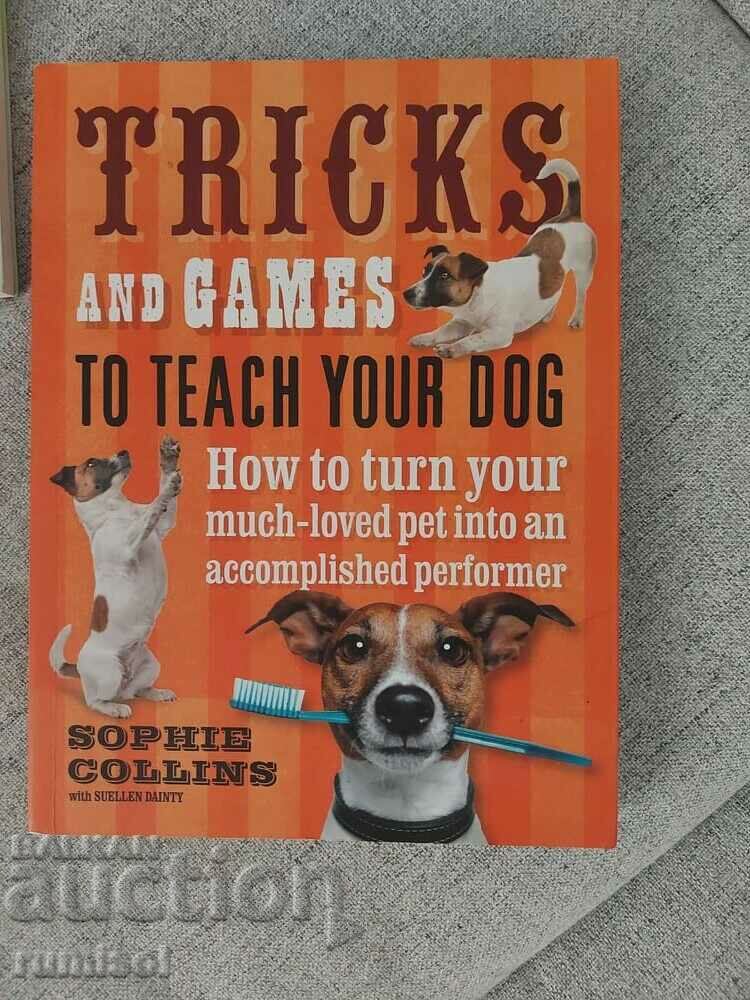 Κόλπα και παιχνίδια για να διδάξετε τον σκύλο σας