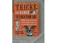 Trucuri și jocuri pentru a-ți învăța câinele