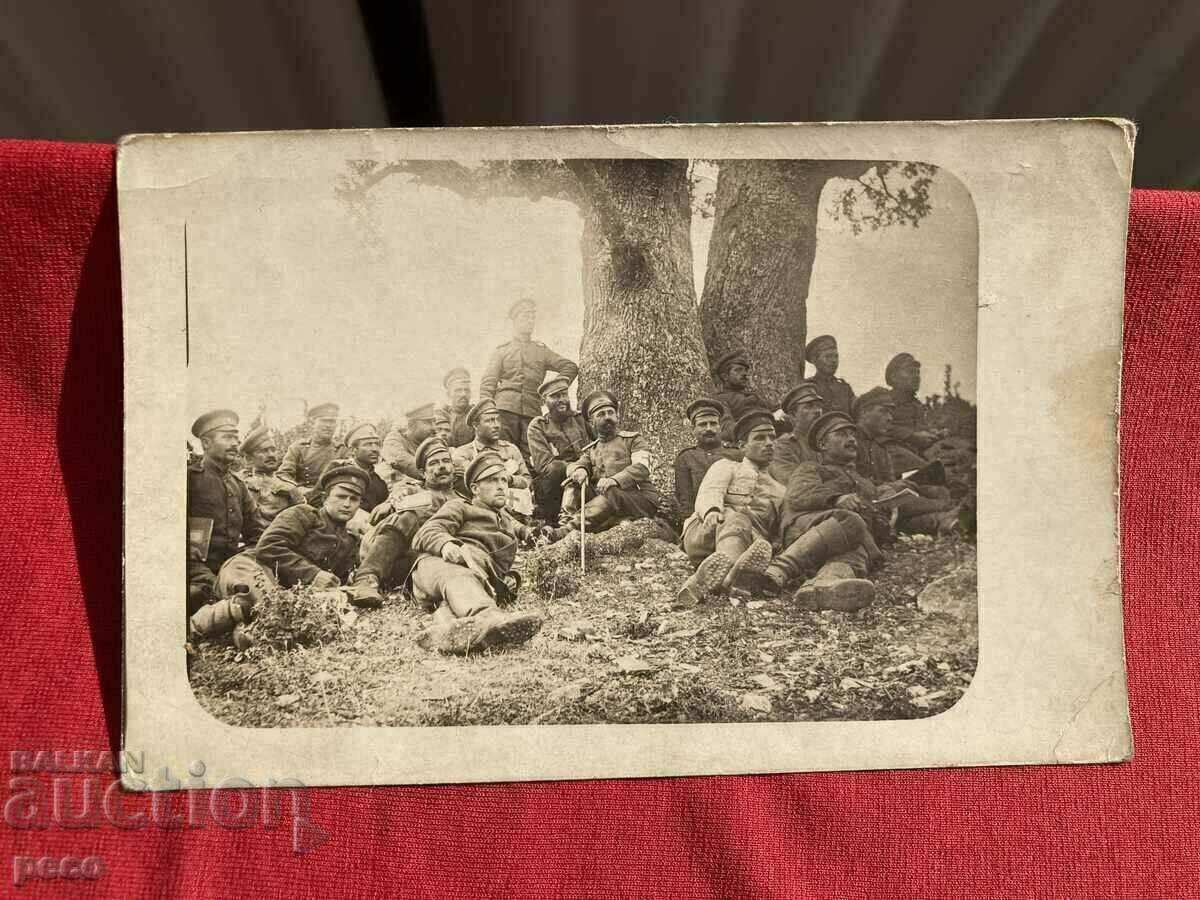 Delivery of Veterinary course Front 1916 50th Regiment non-combat company Bratovan Delivery of Veterinary course Front 1916 50th Regiment non-combat company Bratovan