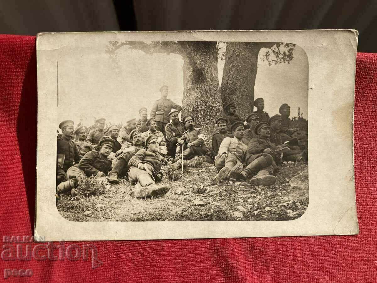 Veterinary course Front 1916 50th Regiment non-combat company Bratovan - 5 Veterinary course Front 1916 50th Regiment non-combat company Bratovan - 5