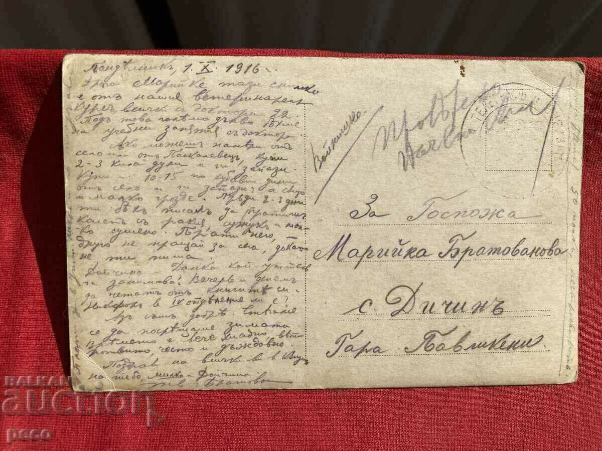 Veterinary course Front 1916 50th Regiment non-combat company Bratovan - 6 Veterinary course Front 1916 50th Regiment non-combat company Bratovan - 6