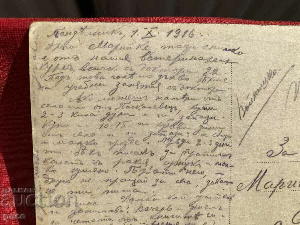 Veterinary course Front 1916 50th Regiment non-combat company Bratovan - 7 Veterinary course Front 1916 50th Regiment non-combat company Bratovan - 7