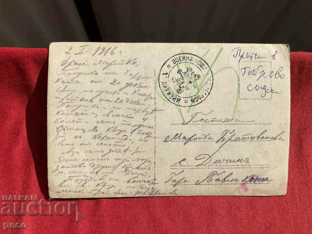 Sanitary and Veterinary Course 1916 5th Bratovan Division - 6