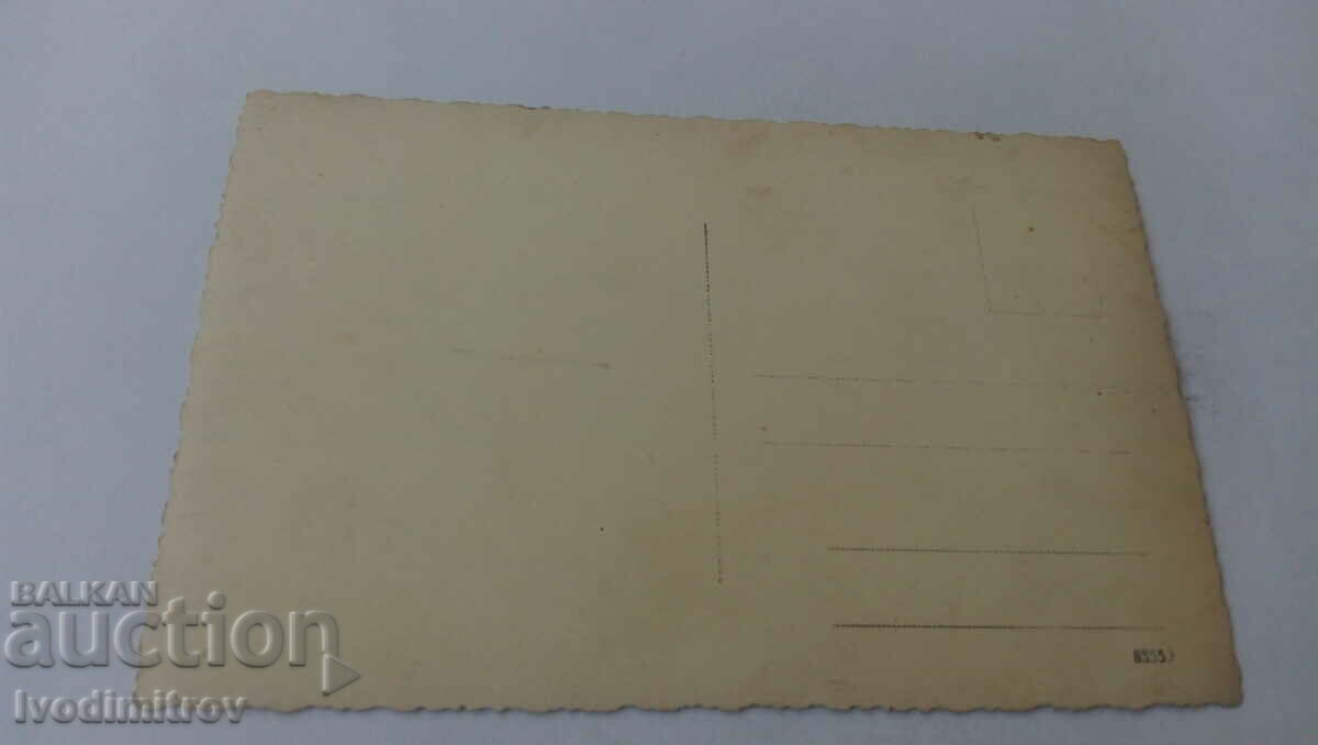 Φωτογραφία Άνδρες και γυναίκες πιασμένοι σε ένα τρένο στο λιβάδι με τιμή 1.65 BGN | € 0.84