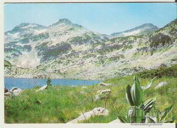 Картичка  България  Пирин Каркъмските езера*
